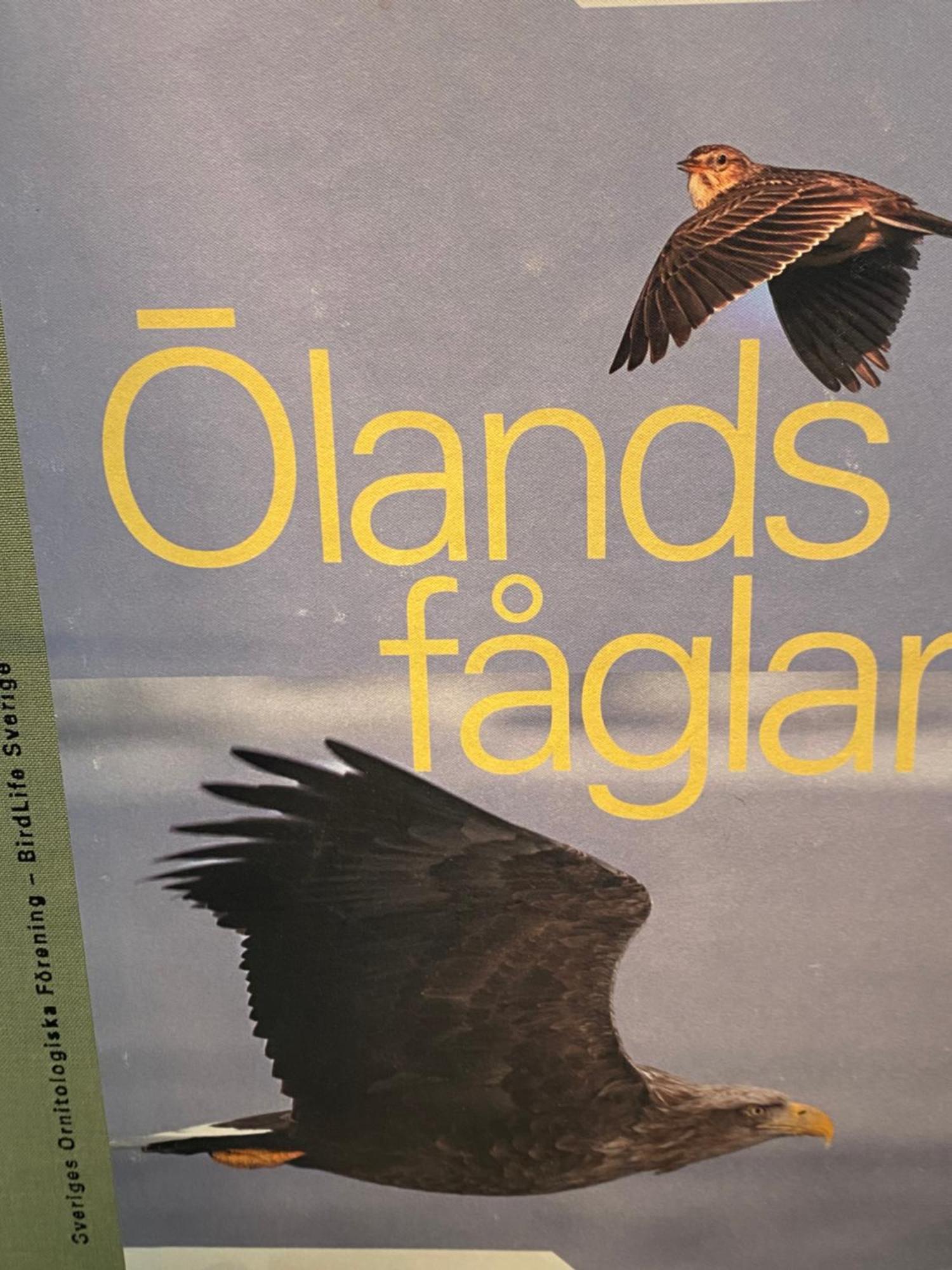 Idyliska Boende Mitt Pa Oeland Apartment Farjestaden Bagian luar foto